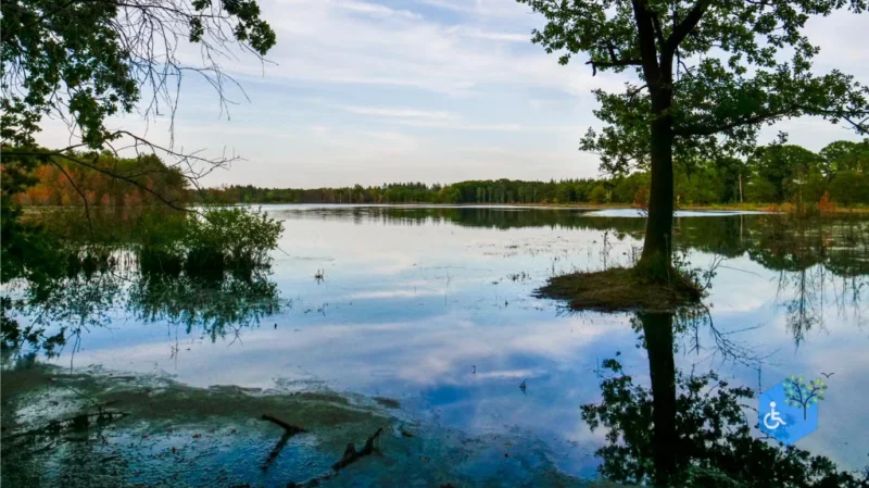 Accessible Lake Trail Hike