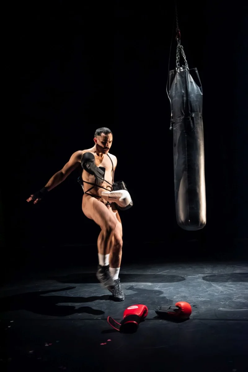 Boxing A Pelo featured image