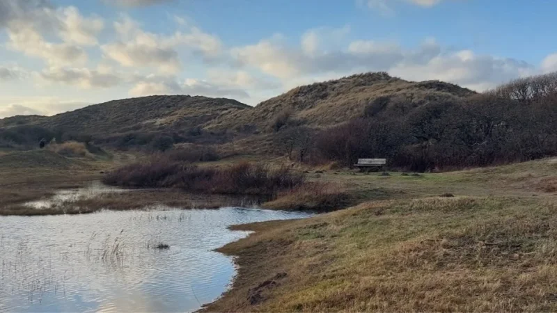 Brand New Queer Hike