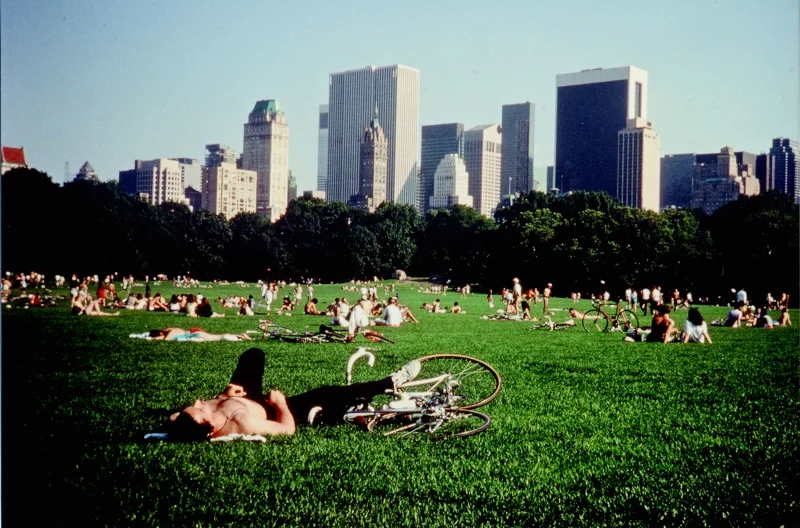 Central Park featured image