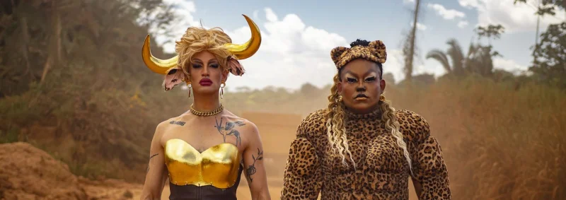 Filmscreening: De-domestication & i am not (your) human
