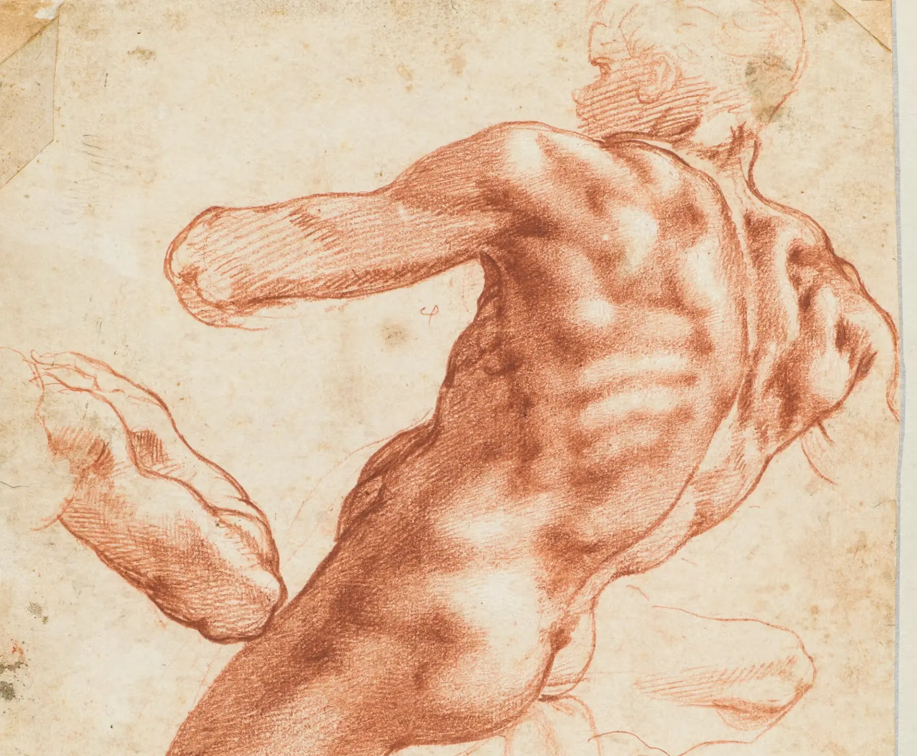 "Michelangelo and Men" in Teylers Museum Haarlem