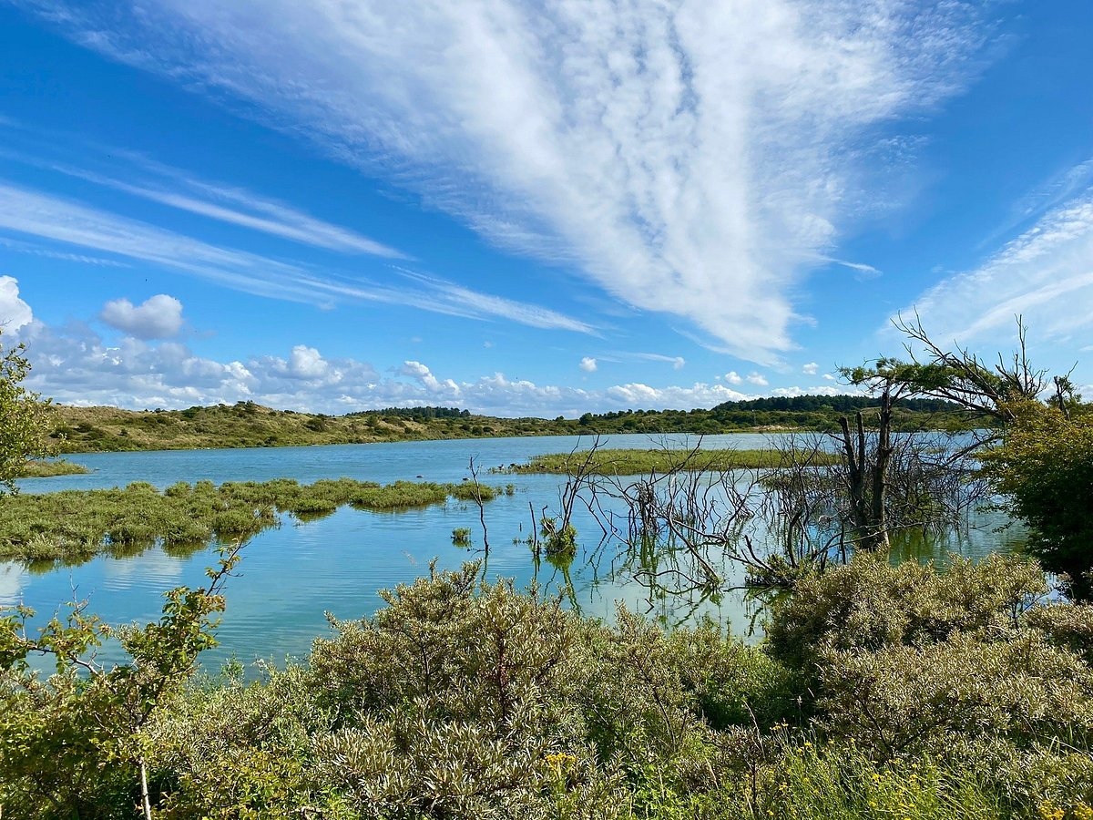 Hike in National Park Zuid-Kennemerland