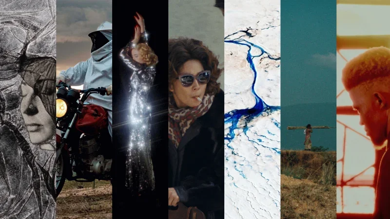 International Film Festival Rotterdam 2026