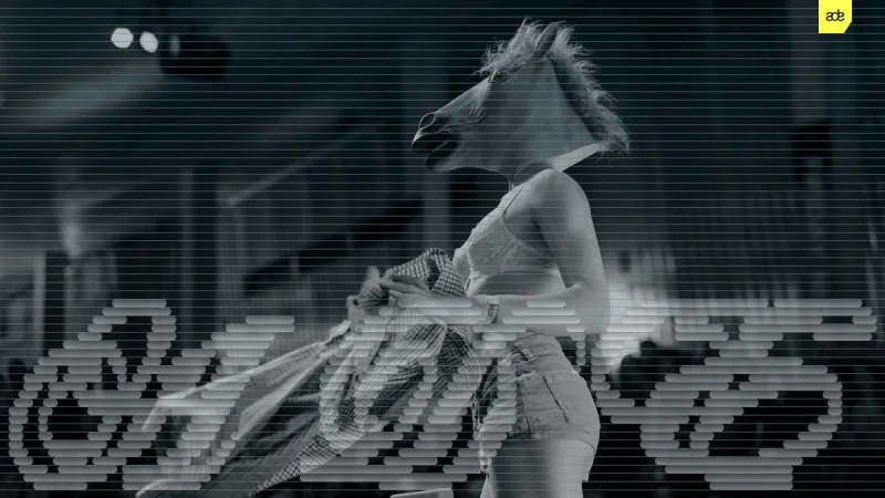 PAARDENRAVE featured image