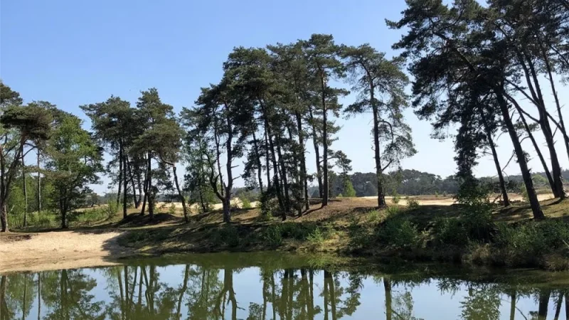 Queer Hike in the Middle of the Netherlands