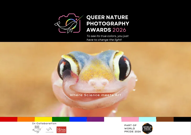 Queer Nature Photography Awards featured image