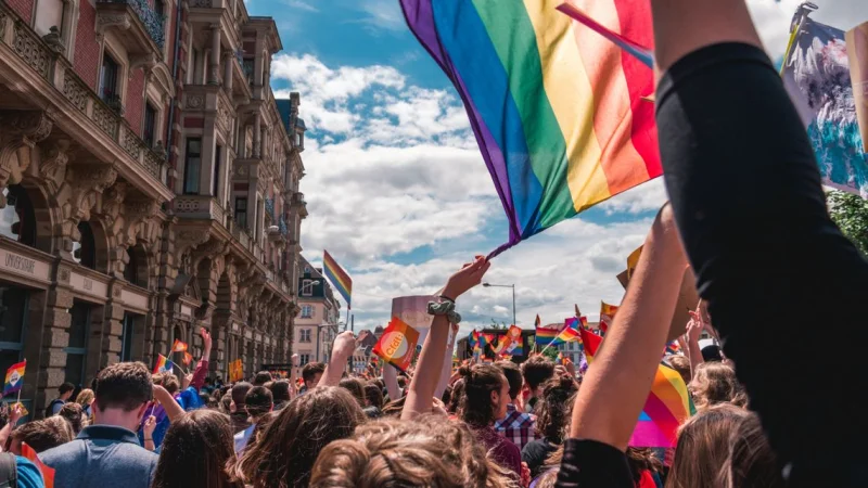 Rainbow Festival featured image
