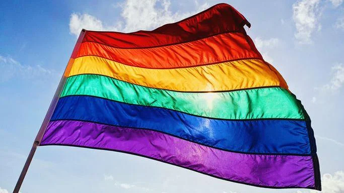 Regenboogvlag bij Tweede Kamer na spannende nachtelijke stemming