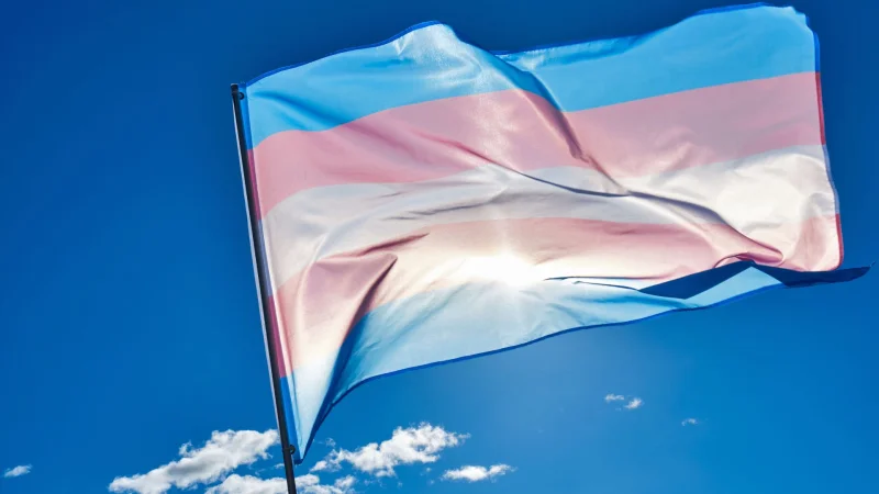TransAnders Offers Monthly Meetups for Gender Diverse Community in the Netherlands