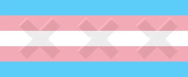 Transgender Evening